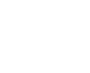 Elfares Group